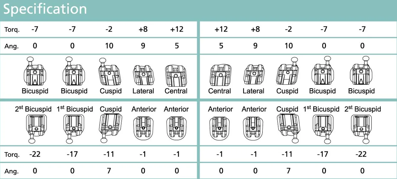 QStar Roth .022 × .028 prescription — diagram showing each bracket shape